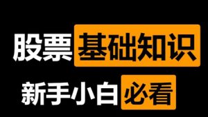 新手股票基础知识入门