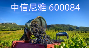 中信尼雅 股票代码600084