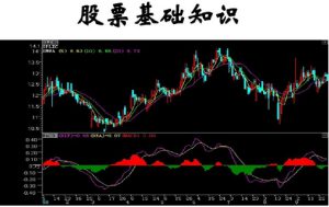 怎样学好股票基础知识？